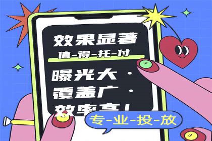 竞价端口开户后的广告投放策略案例